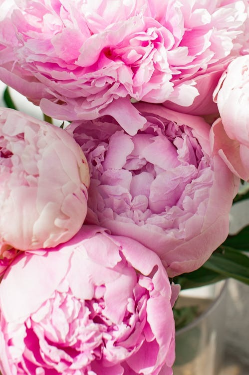 Prachtige gel nagels bij Secrets of Chic